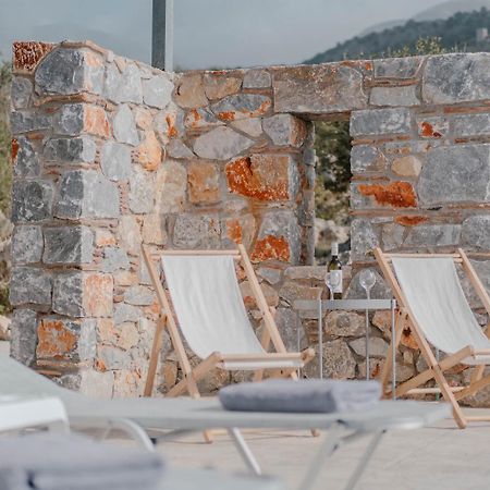 Villa Dioni Ena Pyrgos Exterior foto
